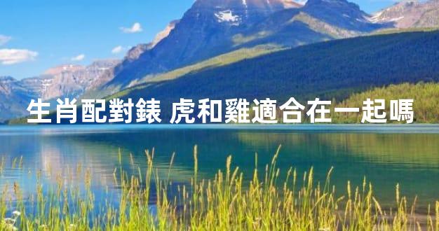 生肖配對錶 虎和雞適合在一起嗎